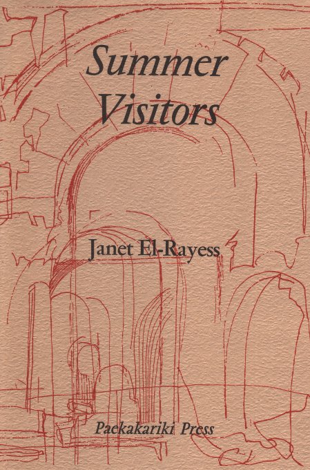Cover of Summer Visitors