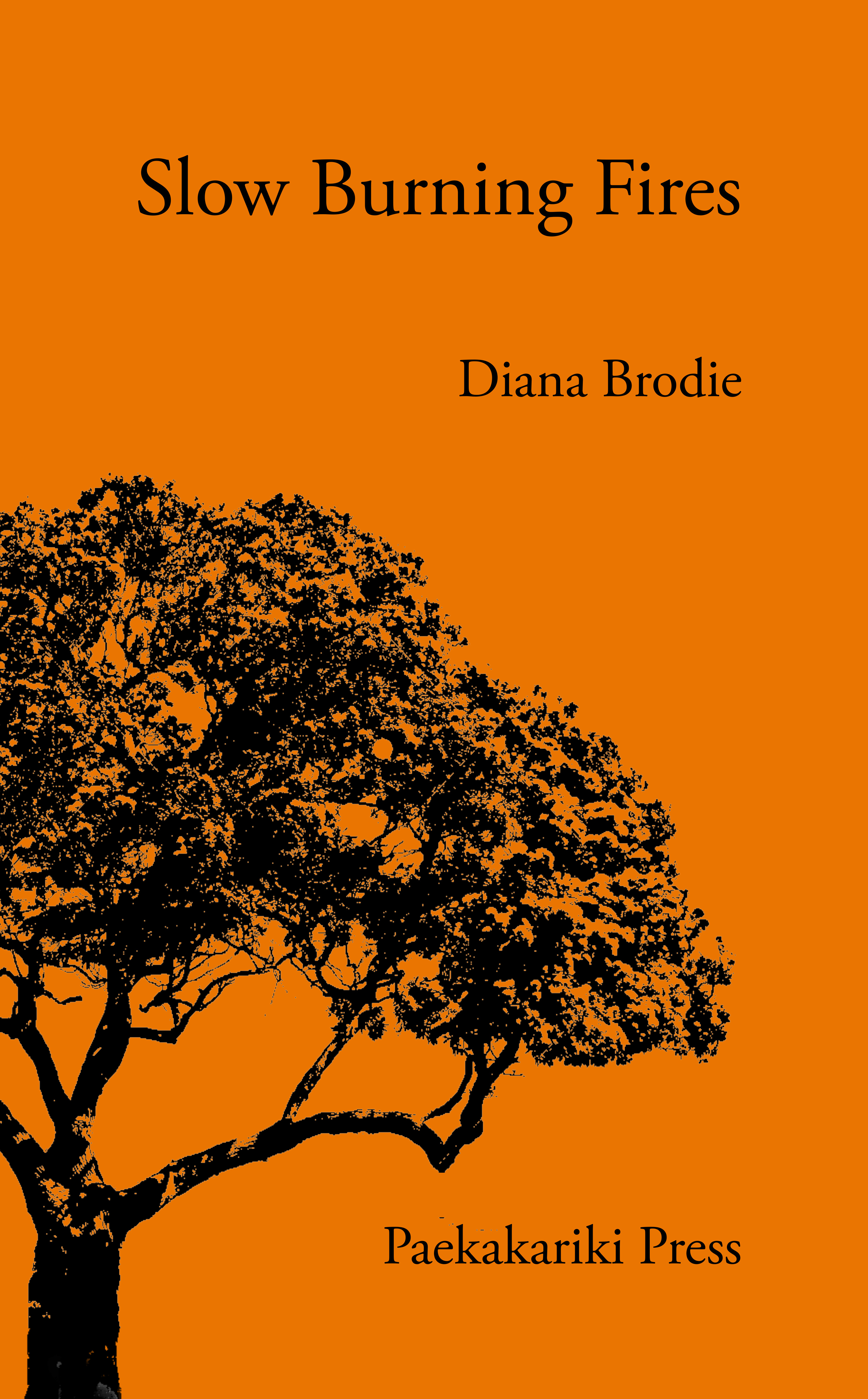 Cover of Slow Burning Fires